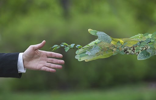 کسب‌ و کارهای سبز؛ سرمایه‌گذاری برای آینده پاک