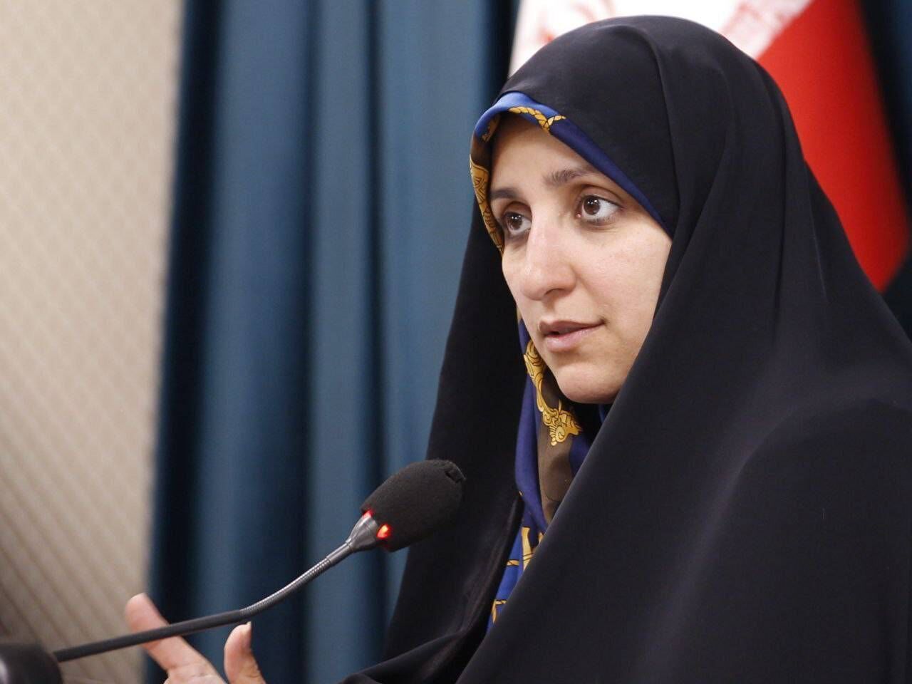 ۸۰ درصد مجوزهای ایجاد مشاغل خانگی مربوط به زنان است