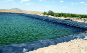 شناسایی ۲۳۳۱ استخر نامتعارف در شبستر